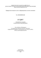 book Аудит: методические указания