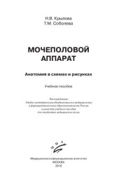 book Мочеполовой аппарат. Анатомия в схемах и рисунках: учебное пособие для медицинских вузов