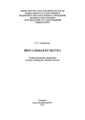 book Визуальная культура: Учебная программа дисциплины и планы семинарских занятий для вузов