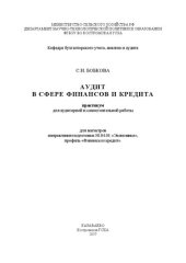 book Аудит в сфере финансов и кредита: практикум для аудиторной и самостоятельной работы для магистров направления подготовки 38.04.01 «Экономика», профиль «Финансы и кредит»