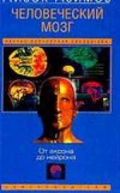 book Человеческий мозг. От аксона до нейрона