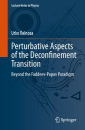 book Perturbative Aspects of the Deconfinement Transition: Beyond the Faddeev-Popov Paradigm