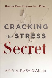 book Cracking the Stress Secret: How to Turn Pressure into Power