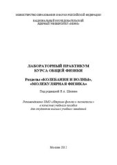 book Лабораторный практикум курса общей физики. Разделы "Колебания и волны", "Молекулярная физика: учебное пособие для вузов