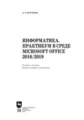 book Информатика. Практикум в среде Microsoft Office 2016/2019: Учебное пособие для СПО