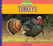 book Turkeys