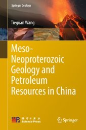 book Meso-Neoproterozoic Geology and Petroleum Resources in China