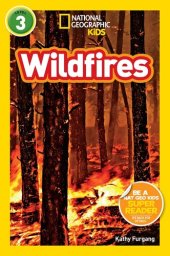 book Wildfires