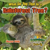 book What Do You Find in a Rainforest Tree?