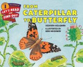 book From Caterpillar to Butterfly