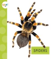 book Spiders