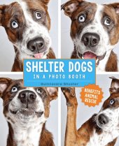 book Shelter Dogs in a Photo Booth