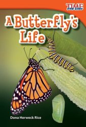 book A Butterfly's Life