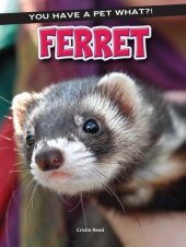 book Ferret