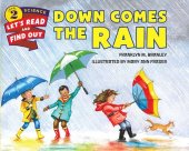 book Down Comes the Rain