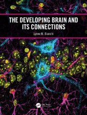 book The Developing Brain and its Connections