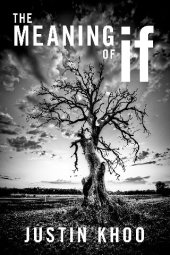 book The Meaning of If