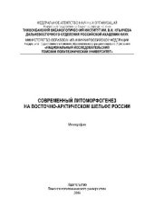 book Современный литоморфогенез на восточно-арктическом шельфе России. Монография