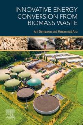 book Innovative Energy Conversion from Biomass Waste