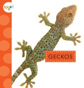 book Geckos