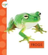 book Frogs