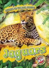 book Jaguars