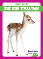 book Deer Fawns