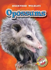 book Opossums