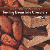 book Turning Beans Into Chocolate