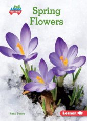 book Spring Flowers