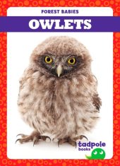 book Owlets