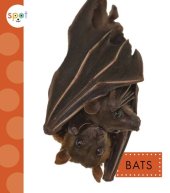 book Bats