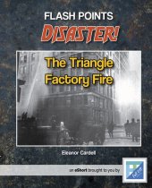 book The Triangle Factory Fire