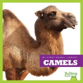 book Camels