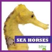 book Sea Horses