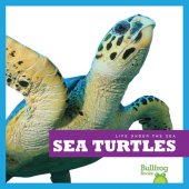 book Sea Turtles