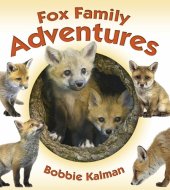 book Fox Family Adventures