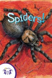 book Spiders