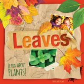 book Leaves