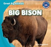 book Big Bison