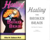 book Healing the Broken Brain