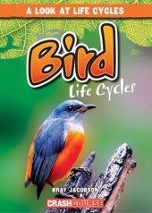 book Bird Life Cycles