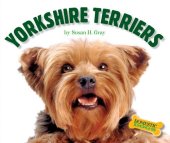 book Yorkshire Terriers