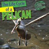 book The Life Cycle of a Pelican