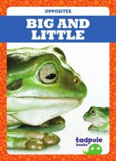 book Big and Little