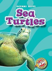 book Sea Turtles