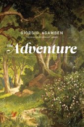 book The Adventure