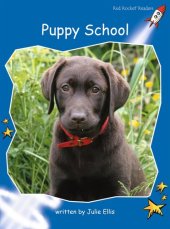 book Puppy School