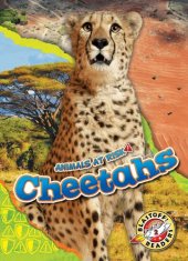 book Cheetahs