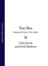 book True Blue: Strange Tales from a Tory Nation